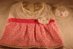 Lux Designer Dog Clothing