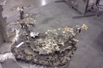 Metal Forest